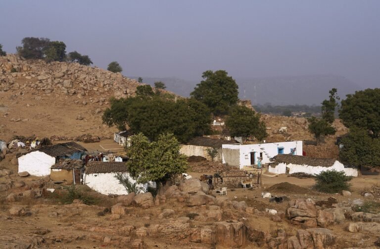 स्वामित्व योजना: सरकारी आश्वासन के बाद मध्य प्रदेश में पटवारी काम पर लौटे