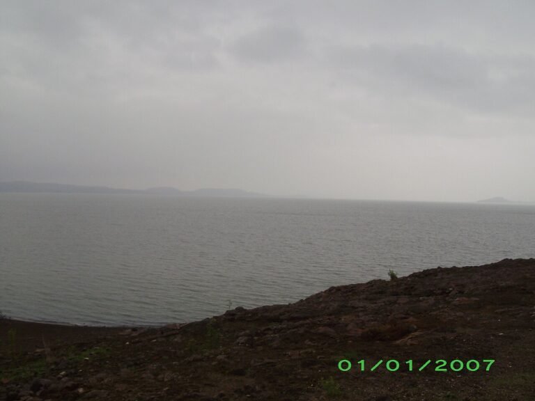 Madhya Pradesh ends monsoon with lowest rainfall in five years; dams mostly full but west is dry