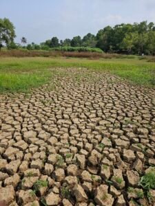 Half of India’s area under drought, monitor says, as dry spells strain farms and rural incomes