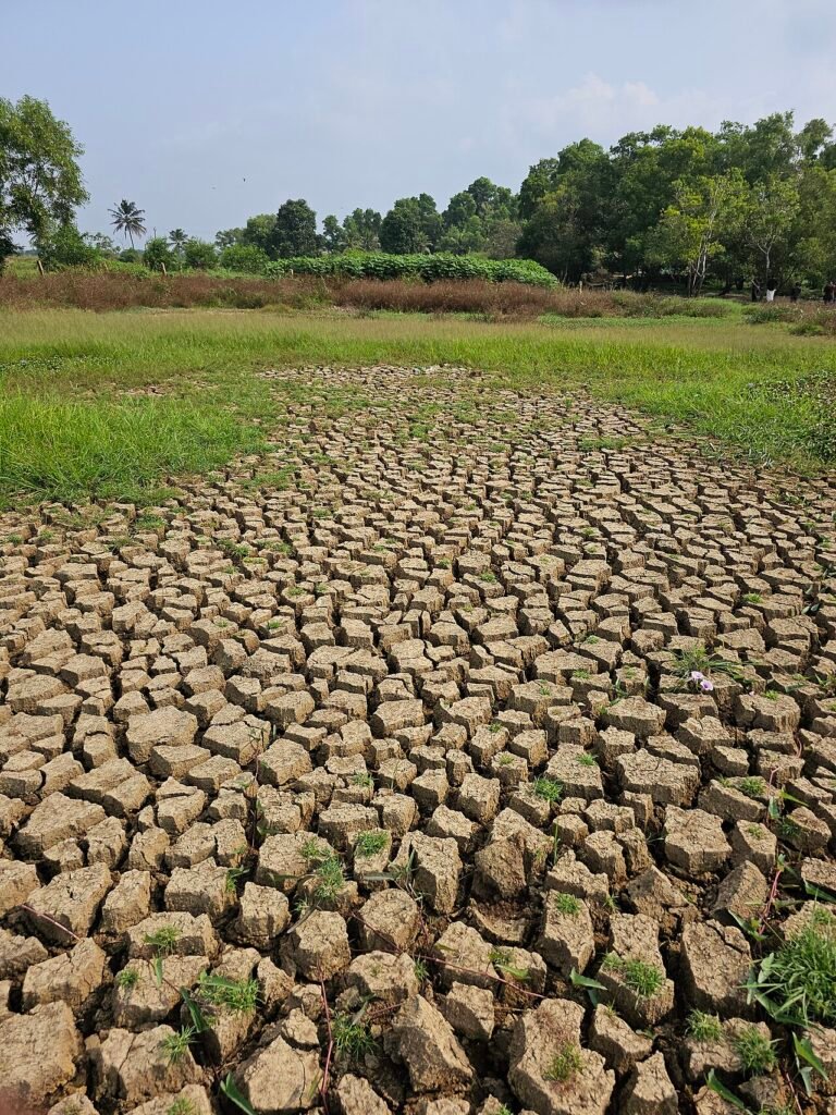 Half of India’s area under drought, monitor says, as dry spells strain farms and rural incomes