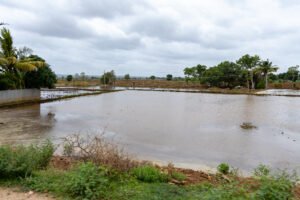 India’s 2026 Monsoon Ends With Worst Rainfall Deficit Since 2015, IMD Data Show