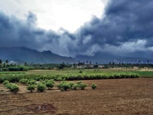 IMD expects normal but uneven northeast monsoon in the south as onset nears