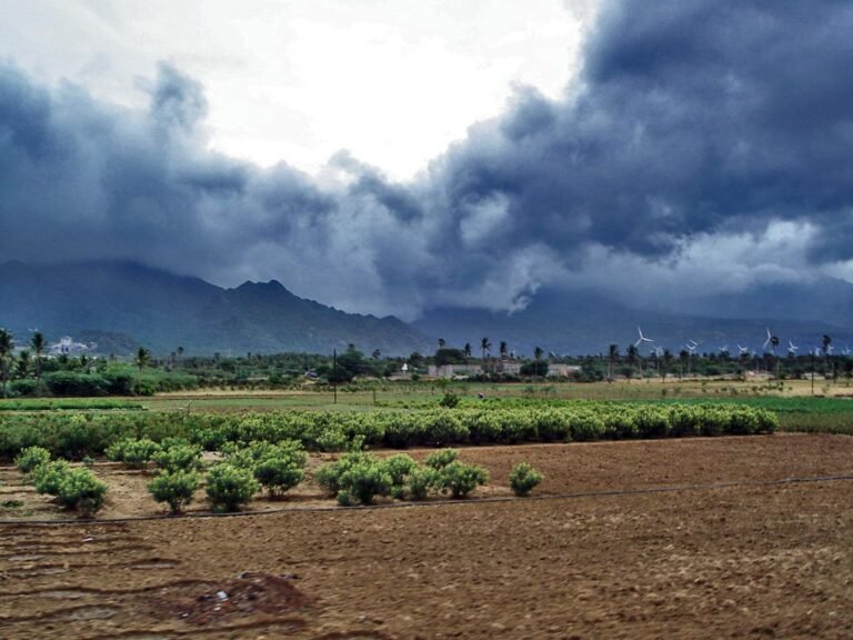 IMD expects normal but uneven northeast monsoon in the south as onset nears