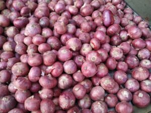 Retail Inflation Rises to 5.54% in September as Food Prices Climb, Official Data Show