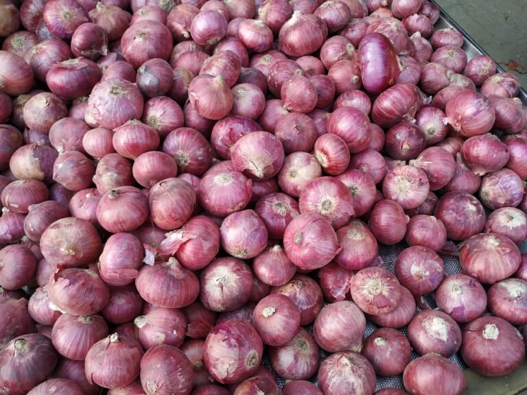 Retail Inflation Rises to 5.54% in September as Food Prices Climb, Official Data Show