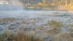 Amarkantak Records Season’s Lowest Night Temperature of 13°C as Winter Chill Sets In