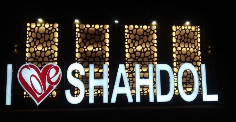 Shahdol ranked first in implementing national health programmes