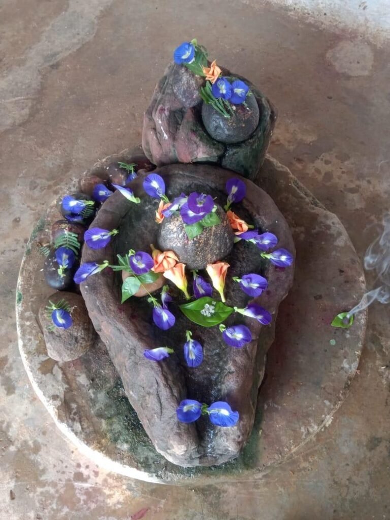 Little-known Jhineshwar Nath Dham Shiva temple in Mauganj district drew devotees once a year