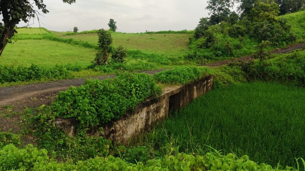 Old culvert on the road in Dhonga panchayat